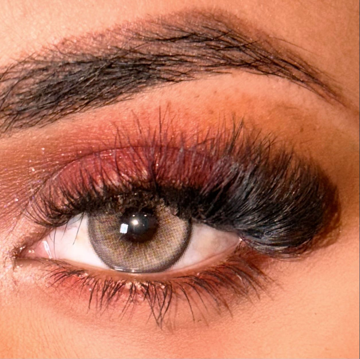 TWILIGHT BROWN